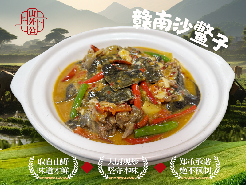 赣南沙鳖子.jpg
